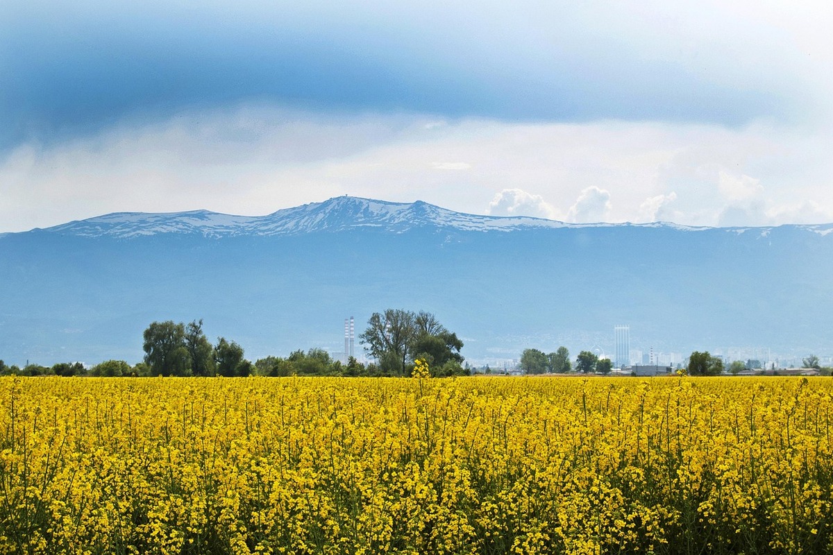 agriculture-3352476_1280