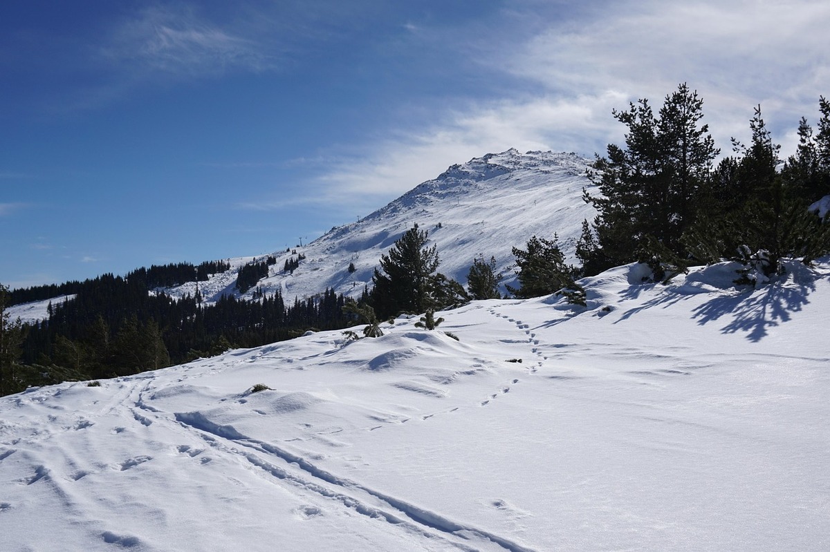 vitosha-2168008_1280 (1)